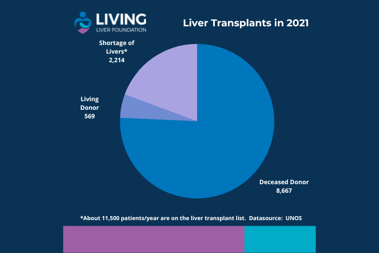 Why We Want to Increase Awareness of Living Donor Liver Transplant